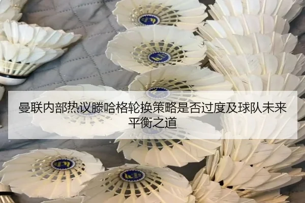 man-lian-nei-bu-re-yi-teng-ha-ge-lun-huan-ce-lve-shi-fou-guo-du-ji-qiu-dui-wei-lai-ping-heng-zhi-dao-2-172.jpg