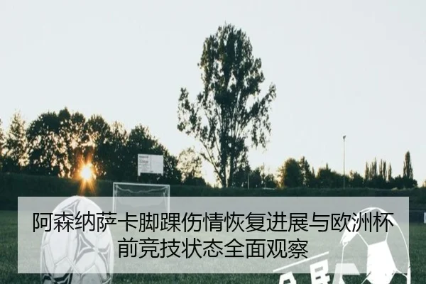 阿森纳萨卡脚踝伤情恢复进展与欧洲杯前竞技状态全面观察